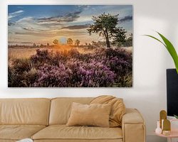 Raumvorschau