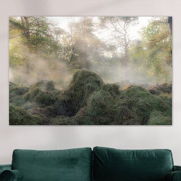 La lande de Ksalmhout sur fotografiebiezen