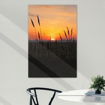 Morgendämmerung – Die Sonne erwacht über dem Feld von Erwin Duijvestijn