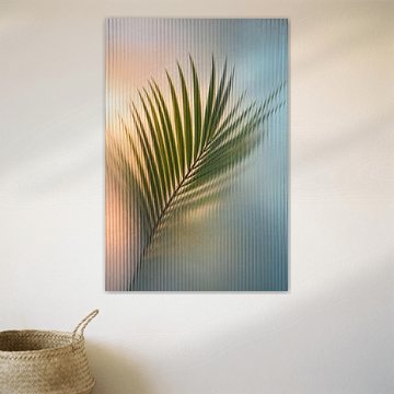 Palm behind Glass sur J.O. Han