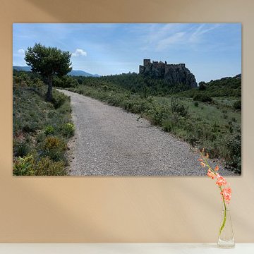 La route menant au Castillo de Loarre sur Peter Bartelings