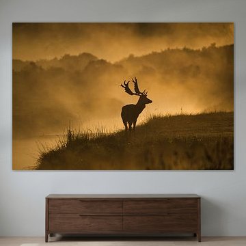 La force du matin – Le cerf dans la brume dorée sur Erwin Duijvestijn