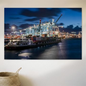 Een herfstavond op de Maasvlakte van Norman van der Geer