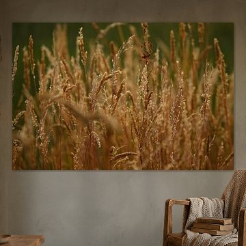 Die goldene Stille der Natur