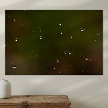 Tautropfen wie Perlen auf einem Spinnennetz – Abstrakte Natur-Makroaufnahme von Natalia Gebauer Studio