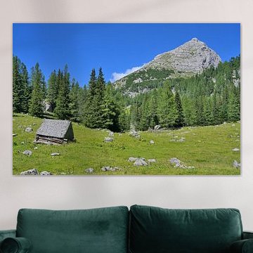 A traditional wooden hut on an alpine meadow by Tomherkules