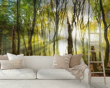 Sonnenstrahlen brechen durch die Bäume von Lars van de Goor