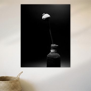 Stillleben mit verblühtem Mohn in einer Flasche von Pieter Muller