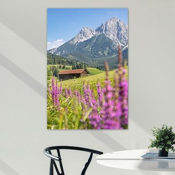 Blütenpracht in den österreichischen Alpen von Mark den Boer