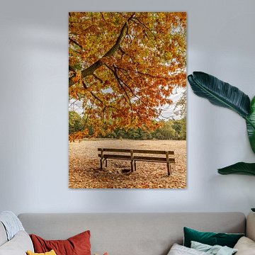 Eine Bank unter einem Baum in Herbstfarben auf dem Utrechtse Heuvelrug von Mark den Boer
