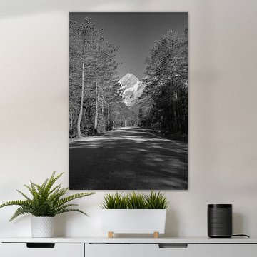 Le bout du chemin sur Peter Bartelings