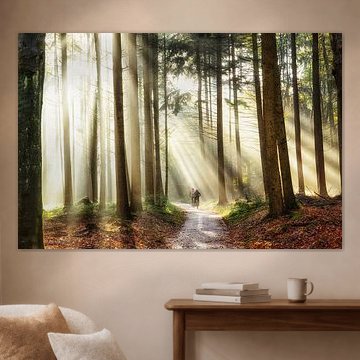 A Blisfull Ride by Lars van de Goor