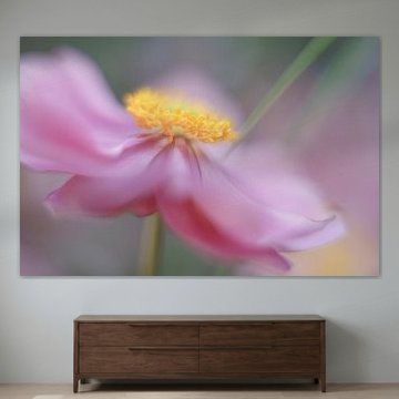 Autumn anemone by Gonda Versteeg