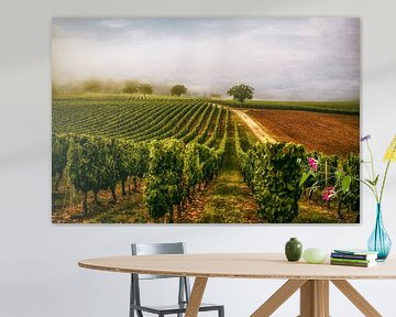 Weingut Südfrankreich von Lars van de Goor
