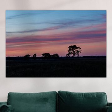 Africa in the Netherlands by Sonja Koolen Fotografie