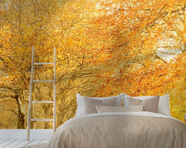 Raumvorschau