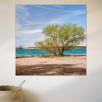 Am Epplesee – Die Leichtigkeit des Sommers von Rolleiflex Fine Art