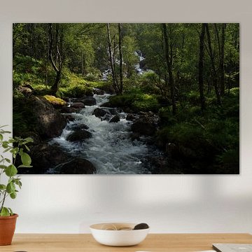 Paysages naturels norvégiens - Ruisseau forestier cinématographique aux eaux glaciaires en Norvège sur Dylan Winter Visuals