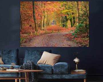 Romantic forest lane in autumn colors sur Patrick van Dijk