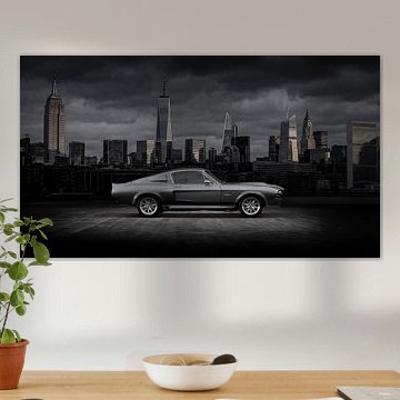 Die Shelby-Legende von The White Rabbit