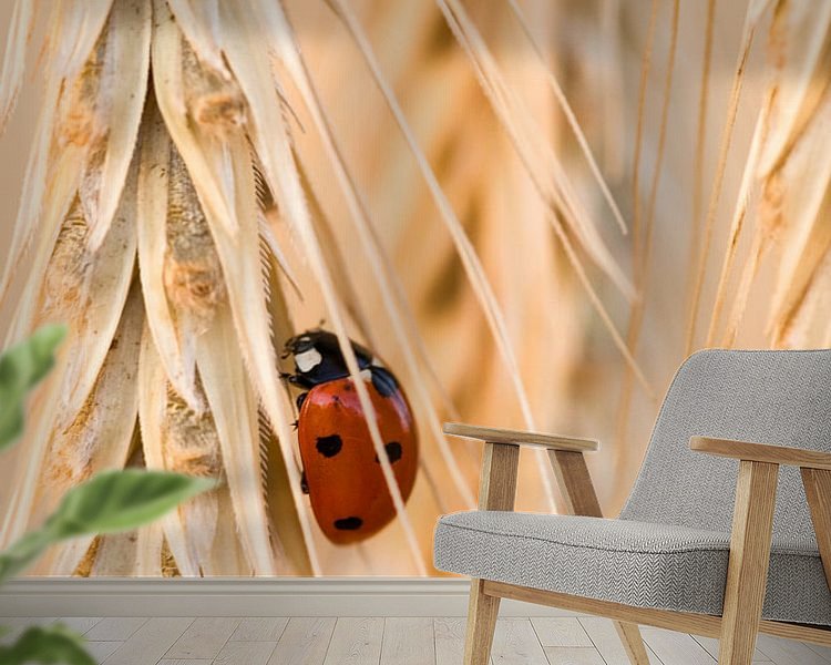 Raumvorschau