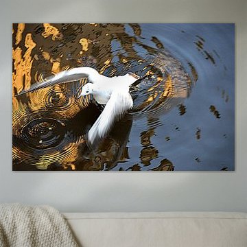 MÖWE 3 by Miroslav Ptacek