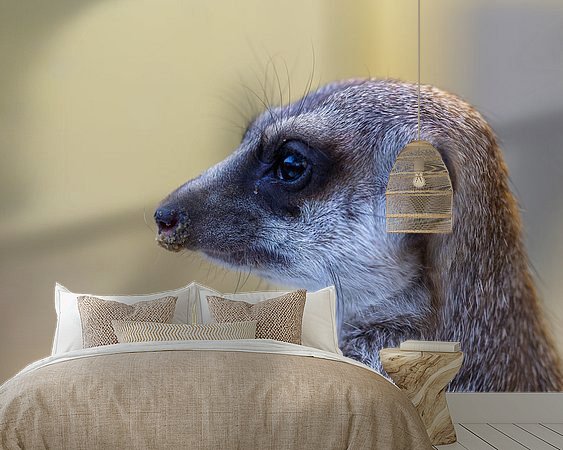 Raumvorschau
