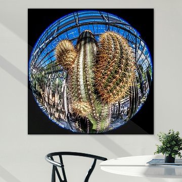 Saguaro cactus by Dieter Walther