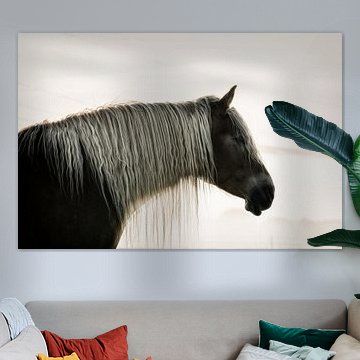 A portrait of a horse in the autumnal backlight by Catrin Grabowski