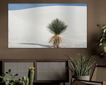 White Sands - New Mexico