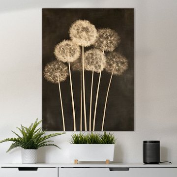 Dark dandelion flowers by IamHomeStudio