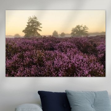Sonnenaufgang über einer Heidelandschaft an einem wunderschönen Sommermorgen von Sjoerd van der Wal Fotografie