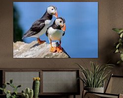 Raumvorschau