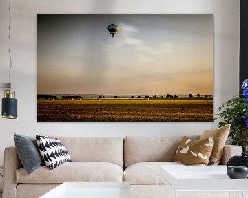 Limited Freedom by Mario van Middendorf