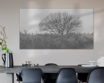 Heide boom by Victor van Galen