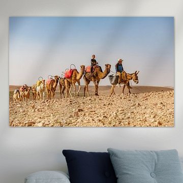 Camels in the Agafay Desert, Morocco by Ron van der Stappen