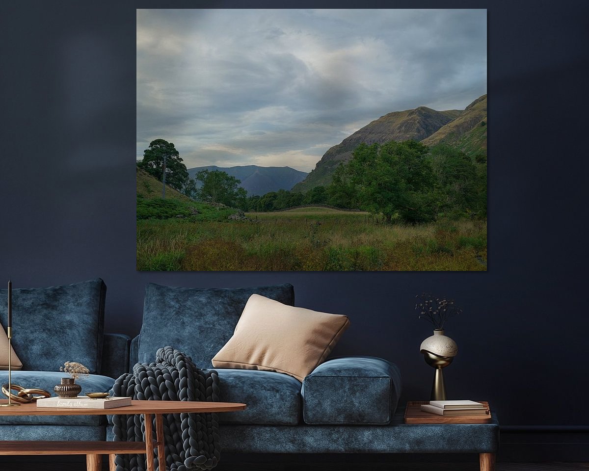 Aperçu de la chambre