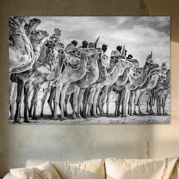 Moussem de Tantan, Marokko