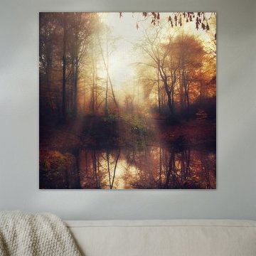 Weerspiegeling in het mistige herfstbos