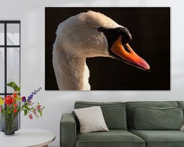 Portret van een zwaan... von Hermen van Laar