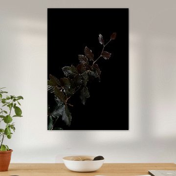 Voilé sur Cindy Coenen Fine Art