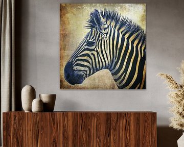 Unsere Top Favoriten - Suchen Sie die Zebra bild auf leinwand Ihrer Träume