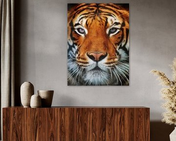 Portrait de tigre sur AD DESIGN Photo & PhotoArt