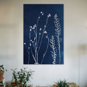 Flora by Night by Evelien van der West