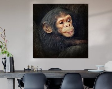 Kleiner Schimpanse van Angela Dölling