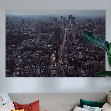 Tokyo schemer