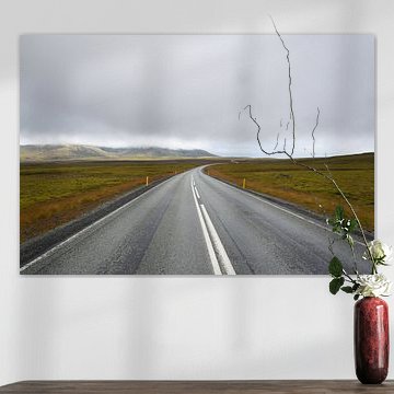 A lonely road in Iceland by Evert-Jan Hoogendoorn