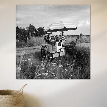 A roadside stall selling sunflowers by Pieter Muller