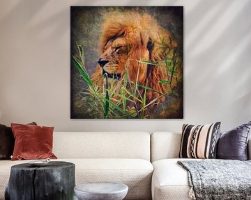 A Lion Portrait sur AD DESIGN Photo & PhotoArt