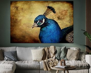 Blauer Pfau van AD DESIGN Photo & PhotoArt